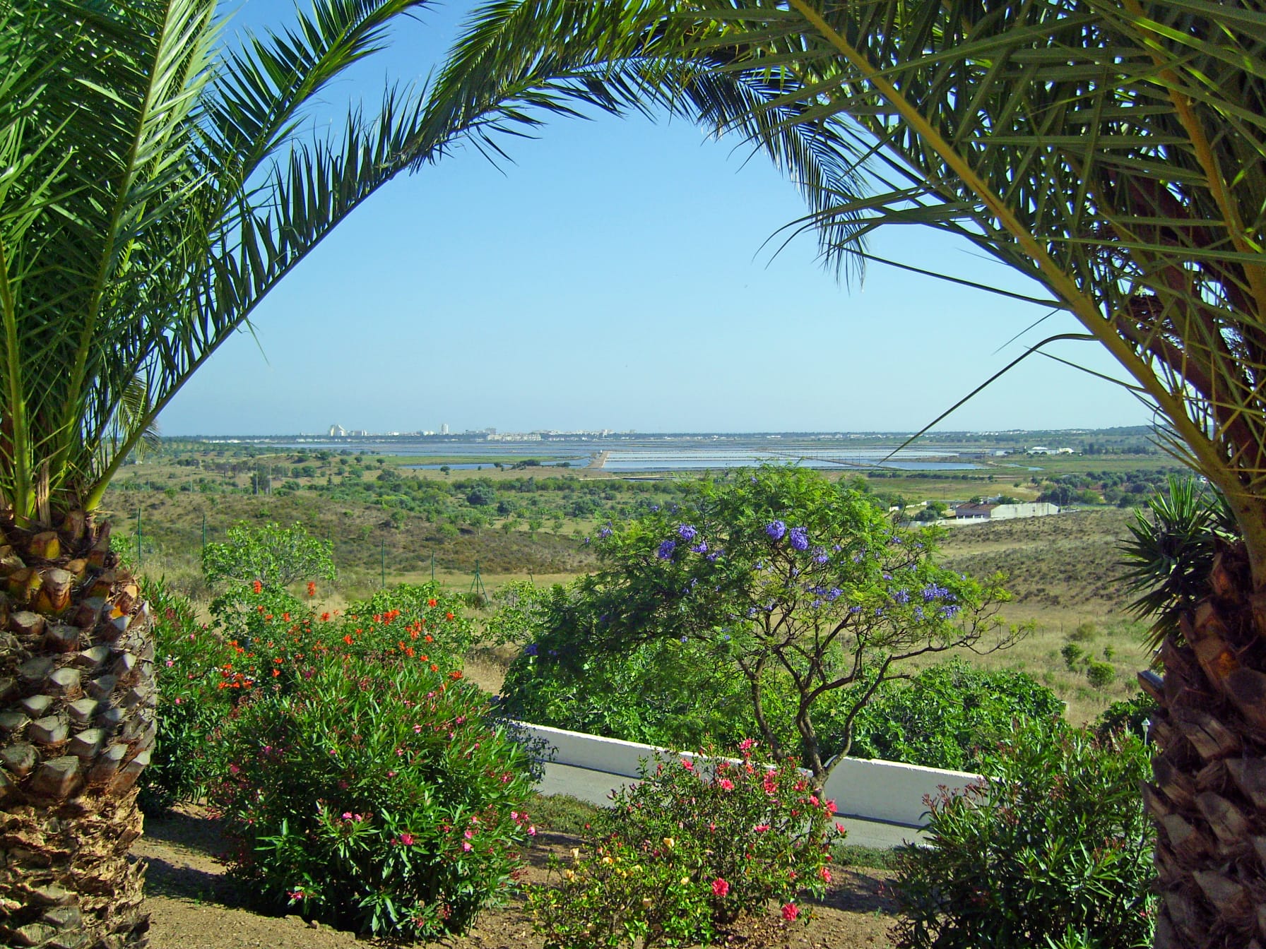 Blick durch Palmwedel auf die Ria Formosa