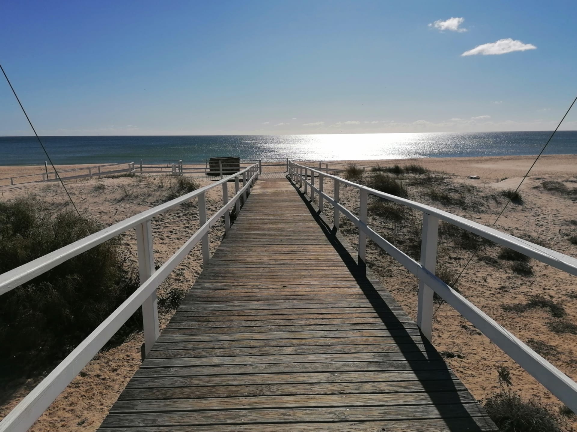 Hölzerner Steg führt durch die Dünen zum Meer
